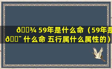 🌾 59年是什么命（59年是 🐯 什么命 五行属什么属性的）